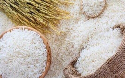 قیمت برنج به زودی کاهش می‌یابد